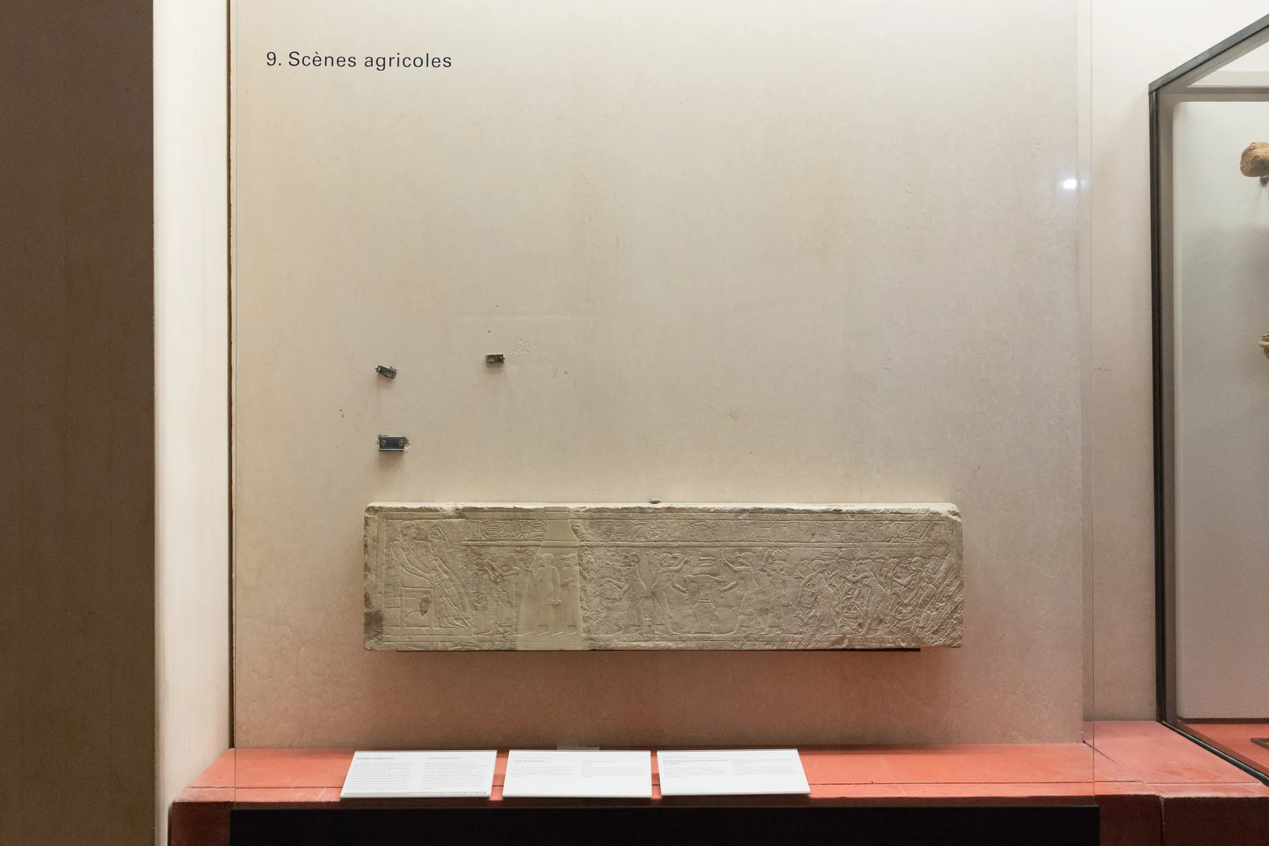 Egyptian objects arranged inside a museum display case
